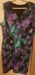 Long Tall Sally Cotton Sateen Shift dress